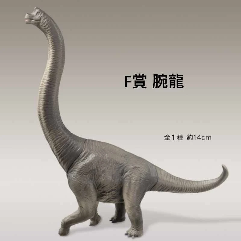 腕龍