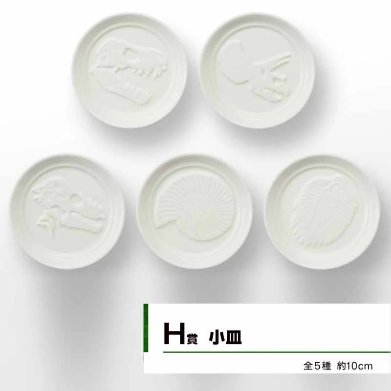 化石小皿