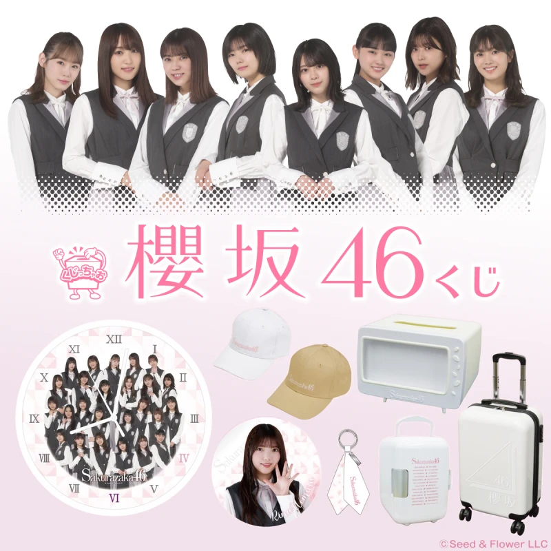 女子偶像團體 櫻坂46 賞
