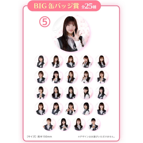 BIG徽章 直徑約15cm
