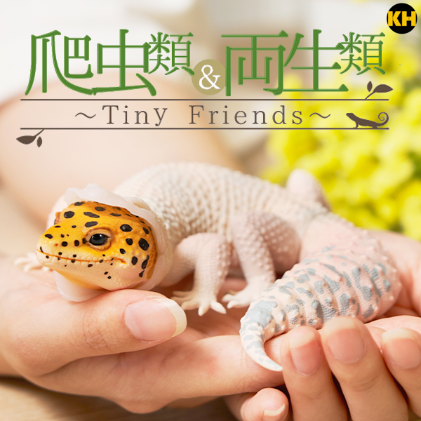一番賞 爬蟲類&兩生類 ~Tiny Friends~ ✈️快遞直送中✈️
