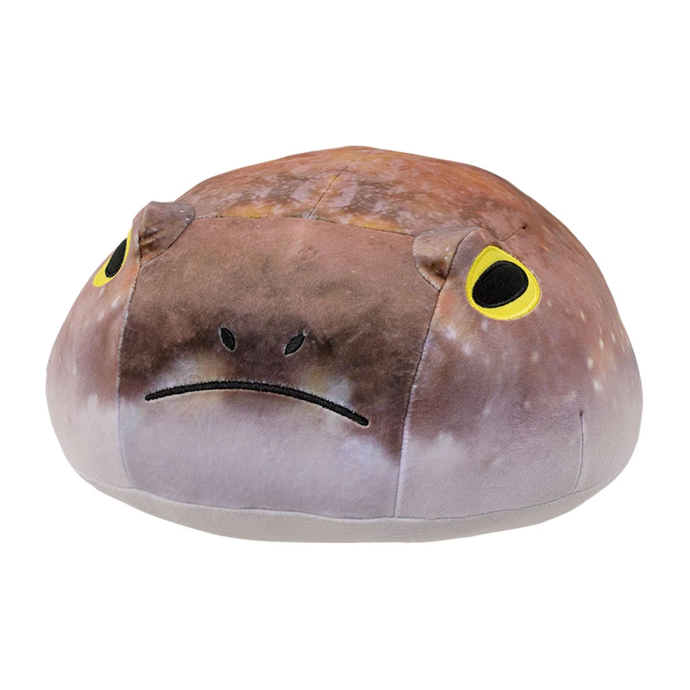 饅頭蛙 Breviceps adspersus 造型靠墊 約30cm