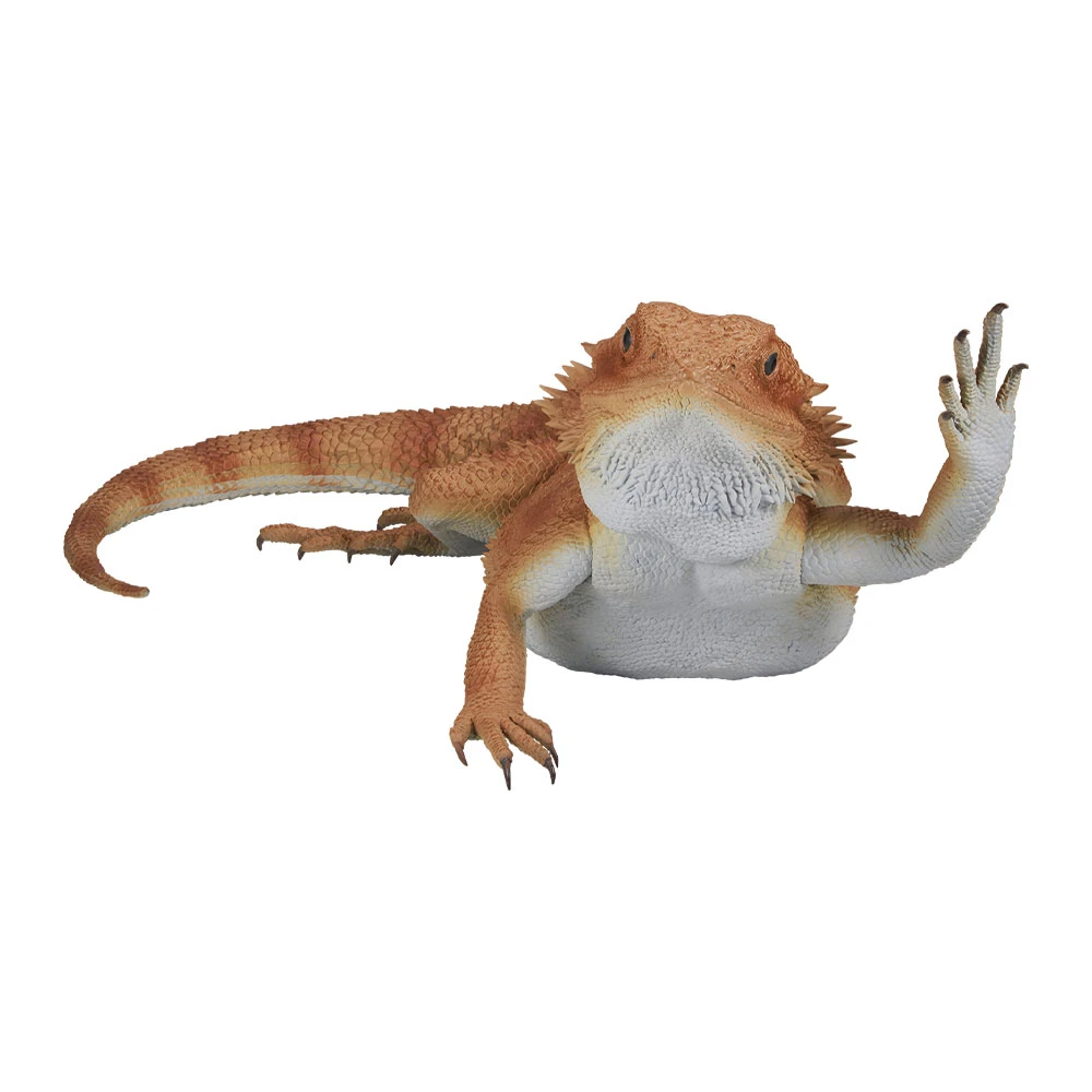 鬃獅蜥 揮手ver. 模型 約24cm