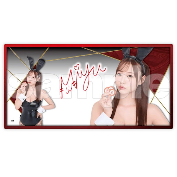 Miyu 桌面滑鼠墊 約30X60cm