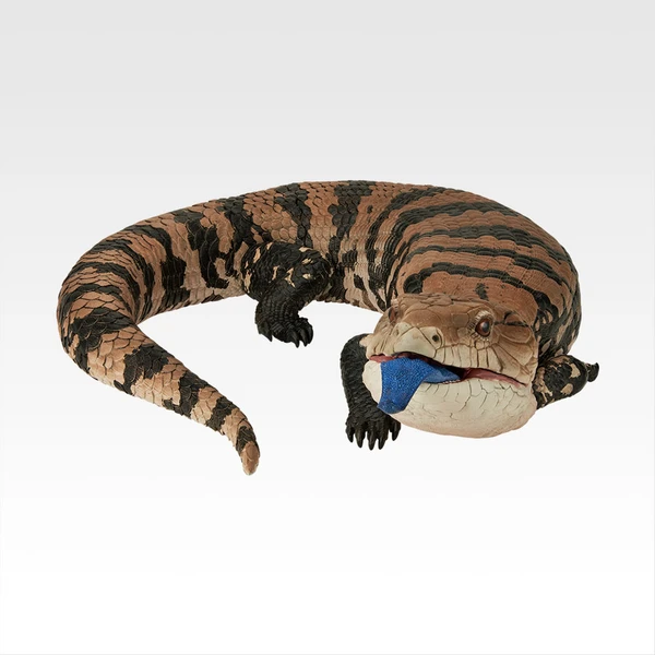 藍舌蜥 吐舌ver. 模型 約27cm
