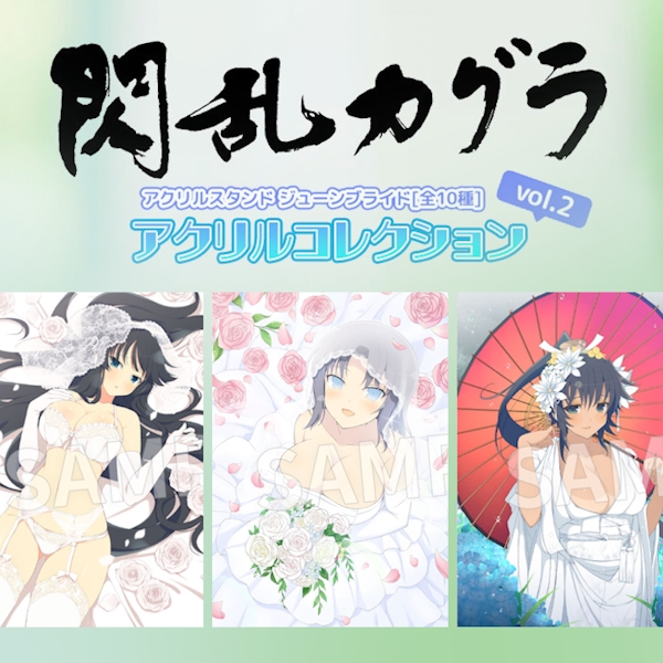 DayPRO 閃亂神樂 Senran Kagura NewWave G Burst  壓克力立牌收藏 vol.2