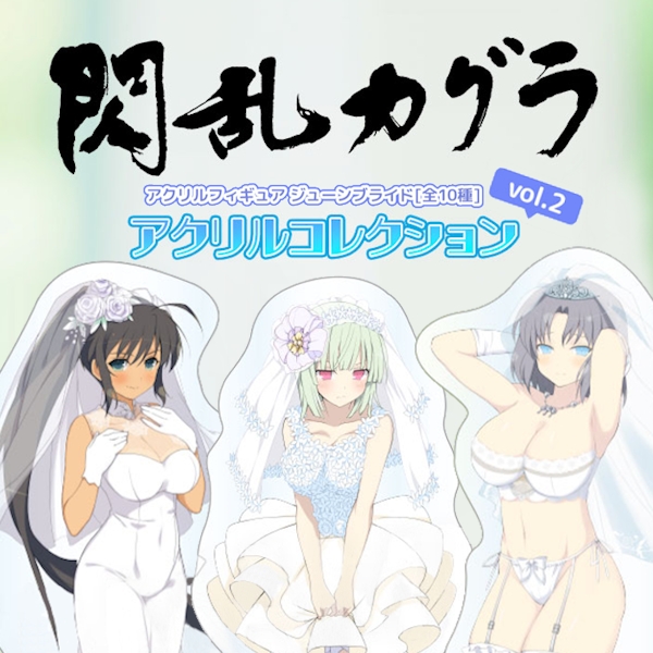 DayPRO 閃亂神樂 Senran Kagura NewWave G Burst 角色立牌收藏 vol.2
