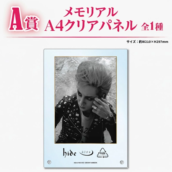 hide 紀念A4壓克力立牌