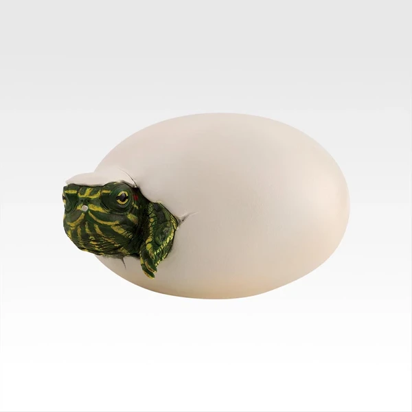 密西西比紅耳龜 破殼寶寶 小公仔 約6cm