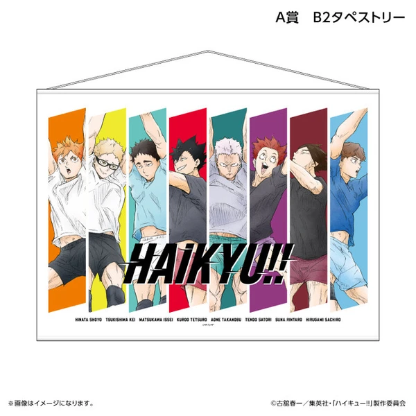 HAIKYU!! 主題B2掛軸